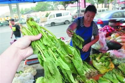 丝瓜水市场价格