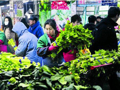 贵州有机农业市场