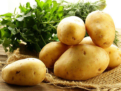 黄沙红薯施肥技术