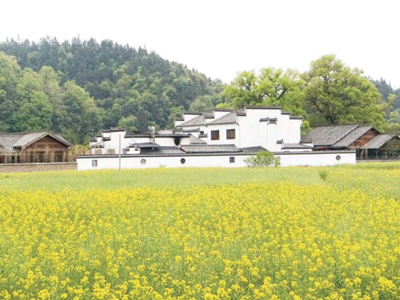 日本南瓜种植时间和方法